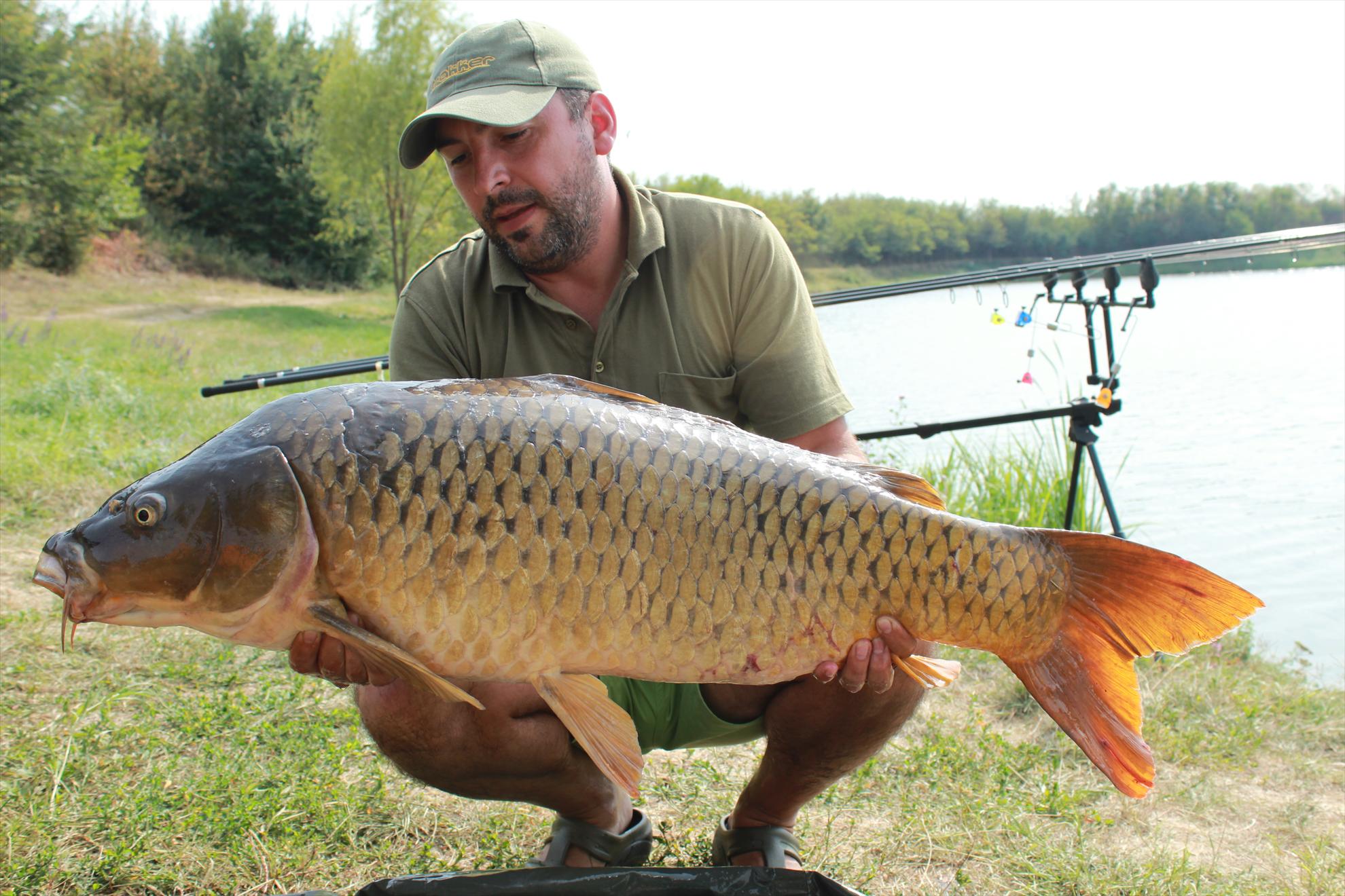 Capturi - img3879.JPG